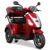 33562-etrike15v2-09